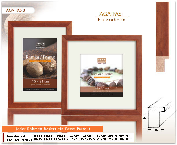 AGA PAS 3